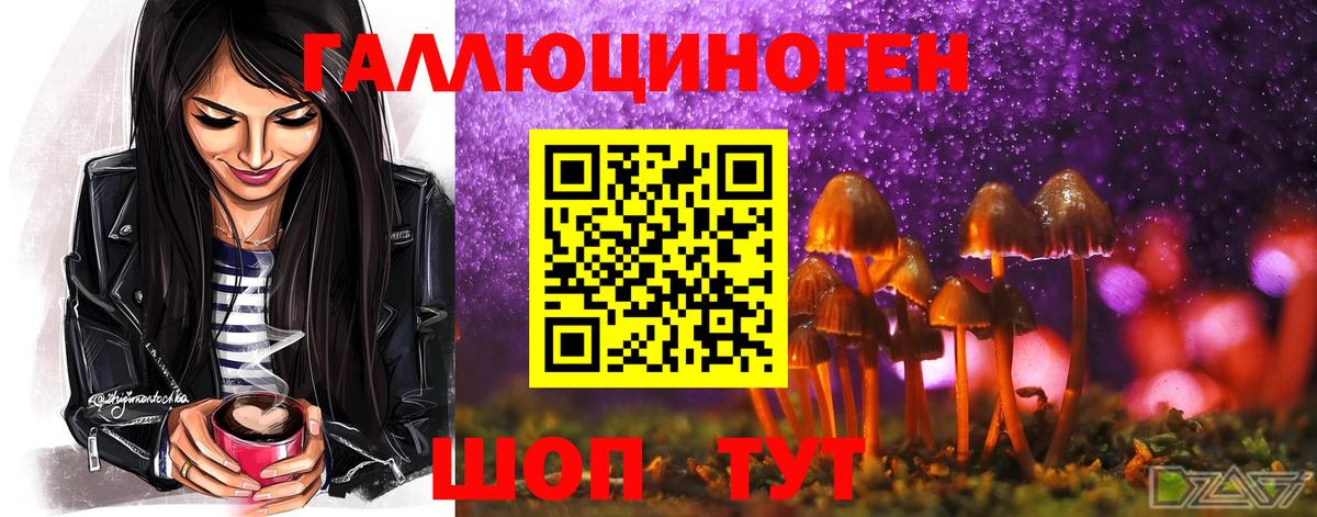 Псилоцибиновые грибы Psilocybe Нурлат